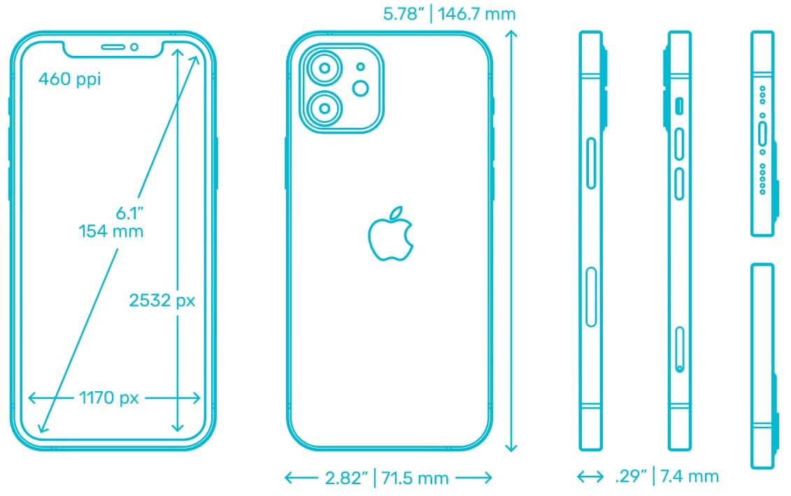 iPhone 12 Dimensions